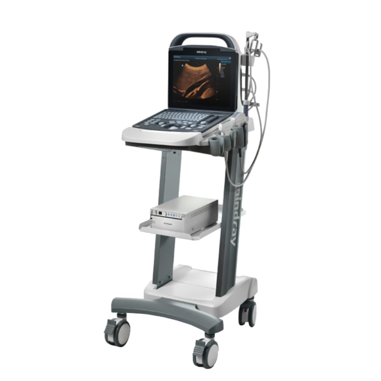 Mindray DP-10 Gesamtansicht